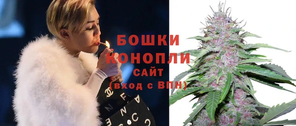 кокс Дмитриев
