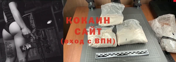 мдпв Дмитров