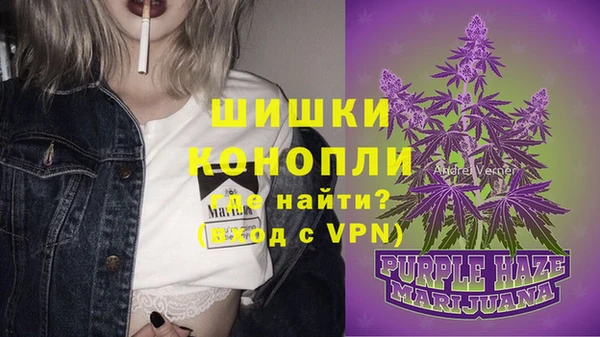 кокс Дмитриев