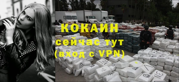 мдпв Дмитров