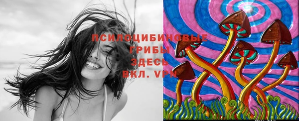 мдпв Дмитров