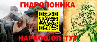 гашик Берёзовский