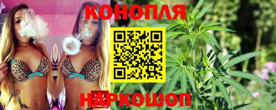 гашик Берёзовский