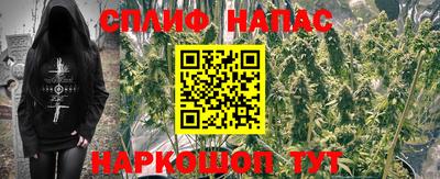 a pvp Дубна