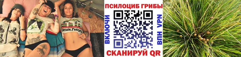 маркетплейс клад  кракен вход  Галлюциногенные грибы мухоморы  Грязи  где можно купить  