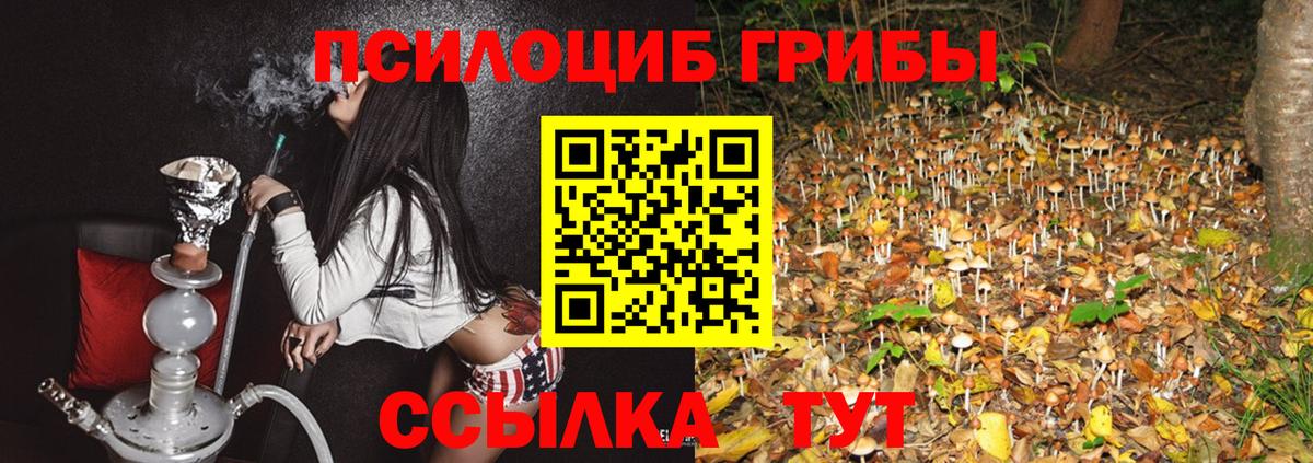 Псилоцибиновые грибы MAGIC MUSHROOMS  даркнет сайт  Грязи  Вход с VPN  Галлюциногенные грибы мухоморы 